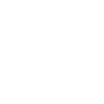 visual dealer